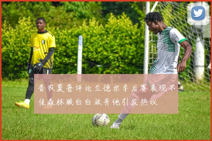 香农夏普评论兰德尔季后赛表现不佳森林狼白白放弃他引发热议